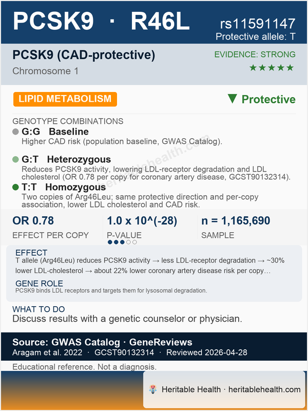 PCSK9 LDL cholesterol (rs11591147)