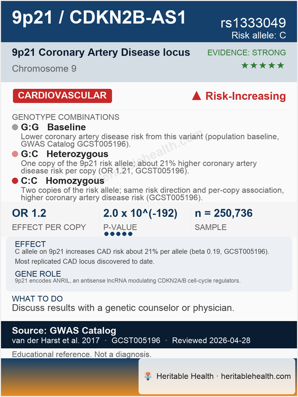 Coronary Artery Disease (rs1333049)