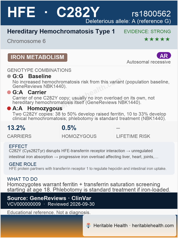 HFE hereditary hemochromatosis (rs1800562)