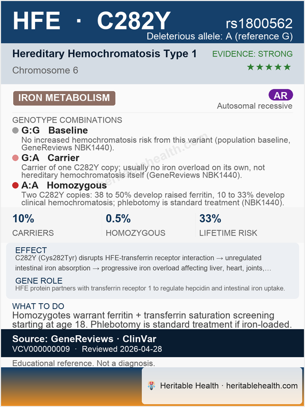 HFE hereditary hemochromatosis (rs1800562)