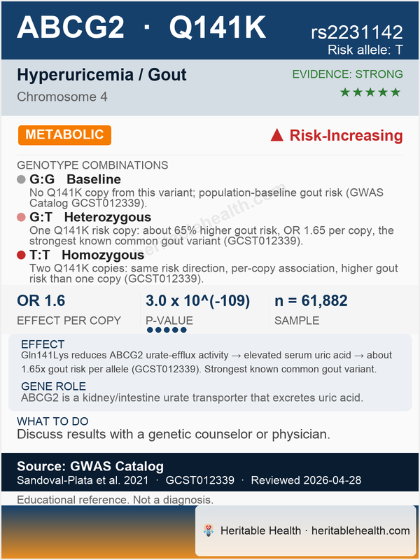 ABCG2 gout (rs2231142)