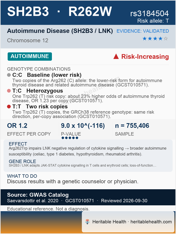 Celiac disease (rs3184504)