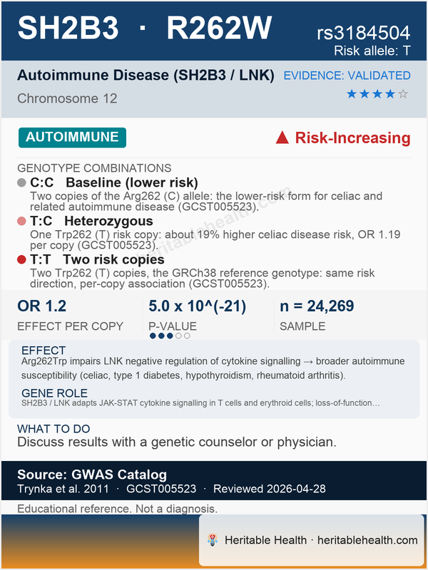 Celiac disease (rs3184504)