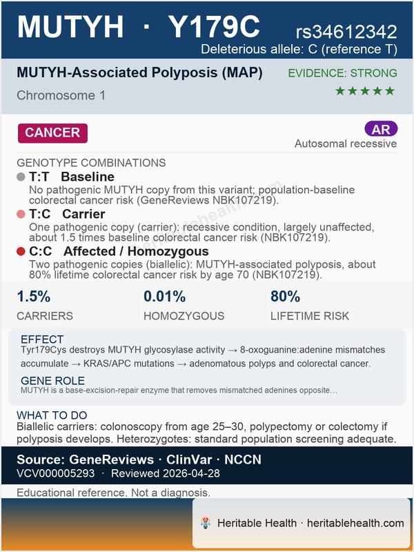 MUTYH colorectal cancer (rs34612342)