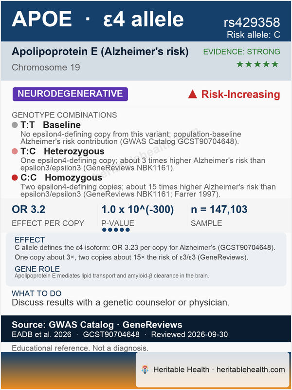 APOE Alzheimer's risk (rs429358)