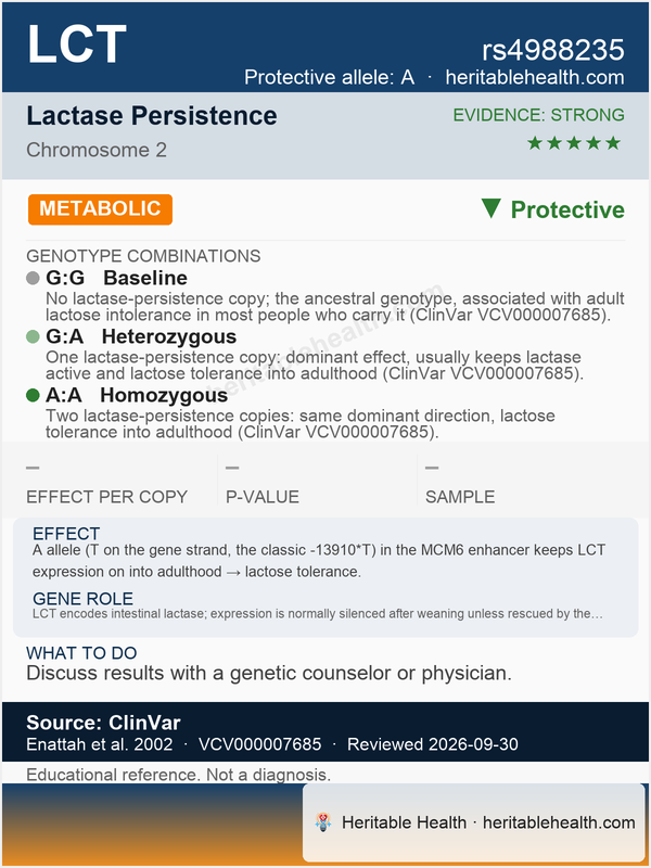 Lactose intolerance (rs4988235)