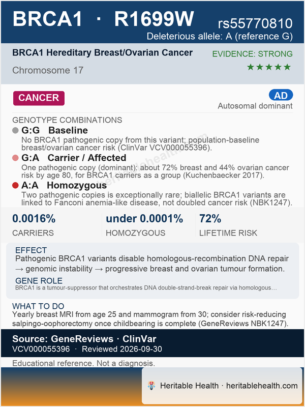BRCA1 breast cancer 1 gene (rs55770810)