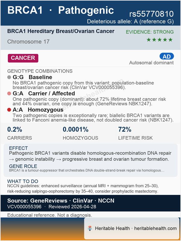 BRCA1 breast cancer 1 gene (rs55770810)