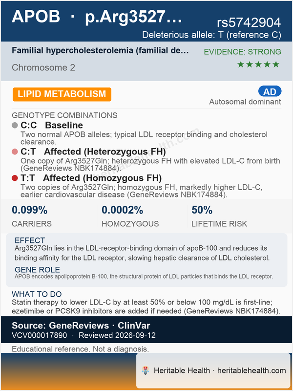 APOB familial hypercholesterolemia (rs5742904)