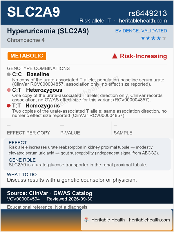 SLC2A9 hyperuricemia (rs6449213)