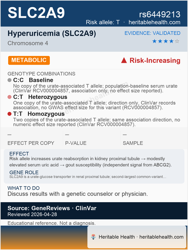 SLC2A9 hyperuricemia (rs6449213)