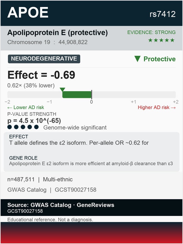 APOE Alzheimer's risk modifier (rs7412)