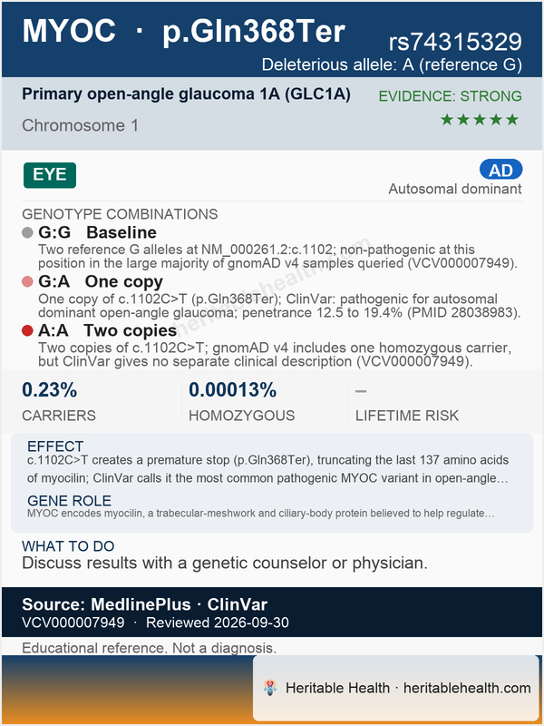 MYOC primary open-angle glaucoma (rs74315329)
