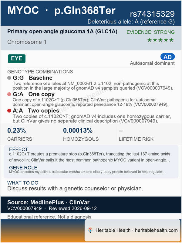 MYOC primary open-angle glaucoma (rs74315329)