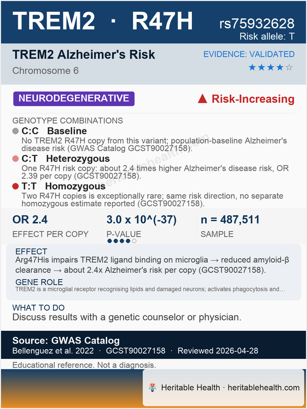 TREM2 Alzheimer's risk (rs75932628)