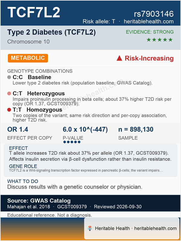 TCF7L2 type 2 diabetes risk (rs7903146)
