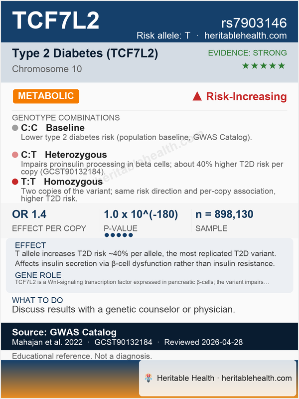 TCF7L2 type 2 diabetes risk (rs7903146)
